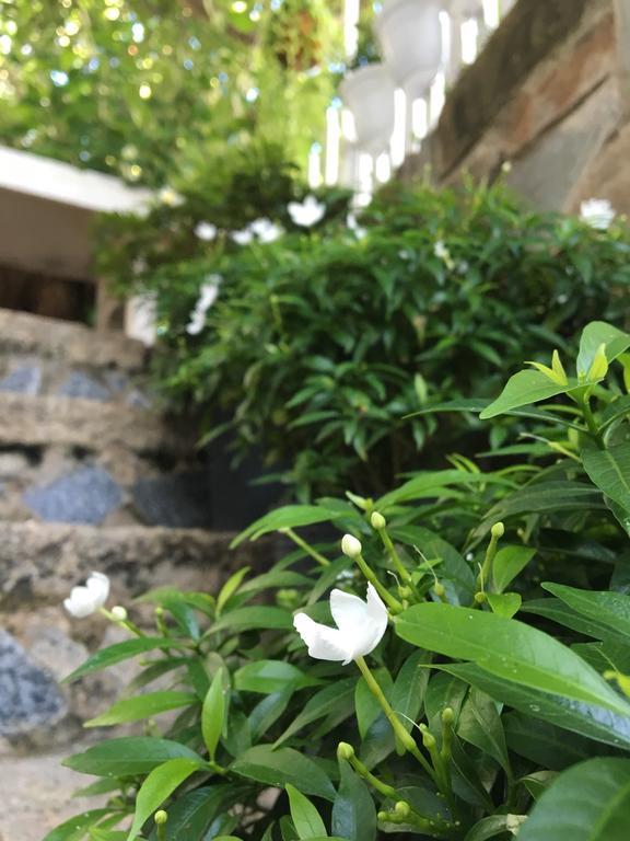 Des Ami Villa فونج تاو المظهر الخارجي الصورة